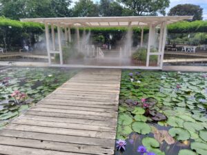 あしかがフラワーパークの霧のシェルター 夏の暑さ対策