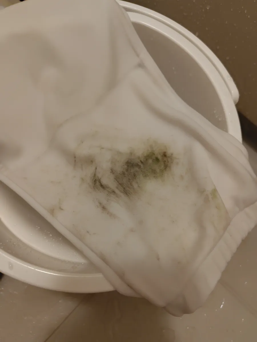 歯ブラシでこすったあとの膝。黒い泥は薄くなり、緑と茶色がまだらに残っている