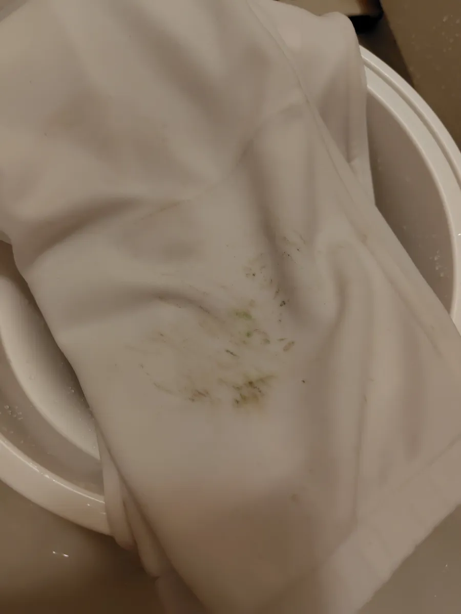 歯ブラシでこすったあとのもう片方の膝。緑の点が薄く残っている